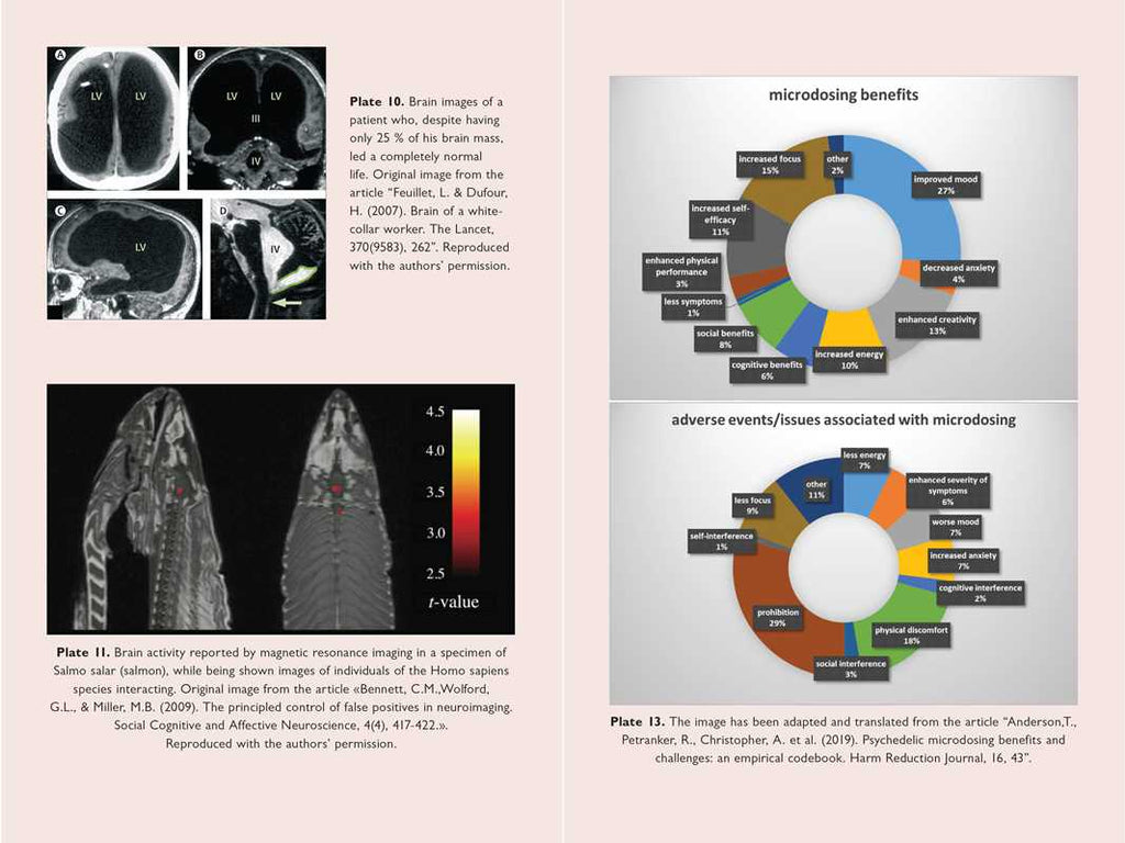 Neuroscience of Psychedelics by Genís Ona