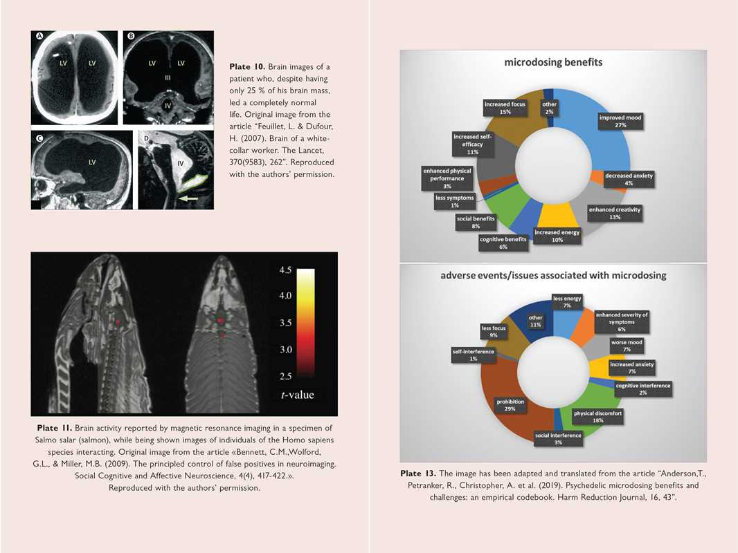 Neuroscience of Psychedelics by Genís Ona