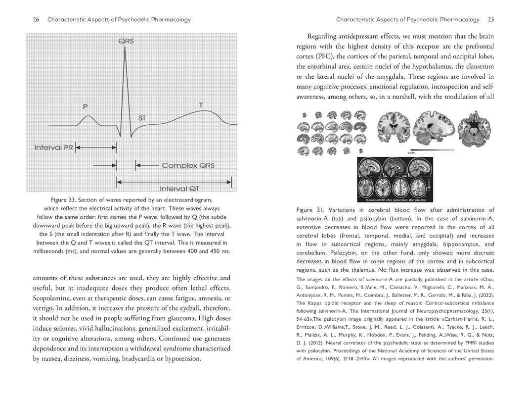 Neuroscience of Psychedelics by Genís Ona