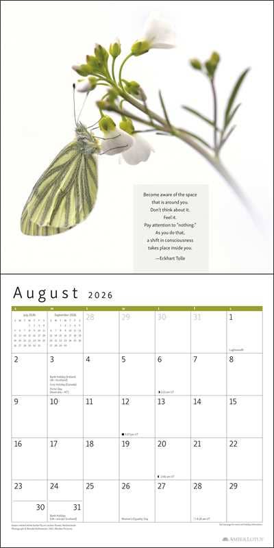 Power of Now 2026 Wall Calendar by Eckhart  Tolle