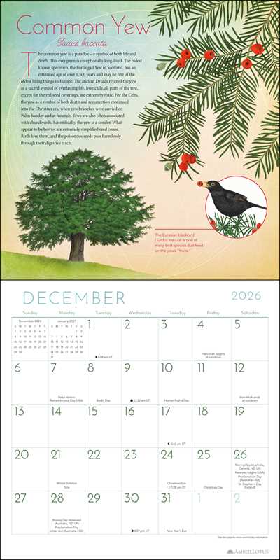 Trees of Life 2026 Wall Calendar by Matt  Strieby