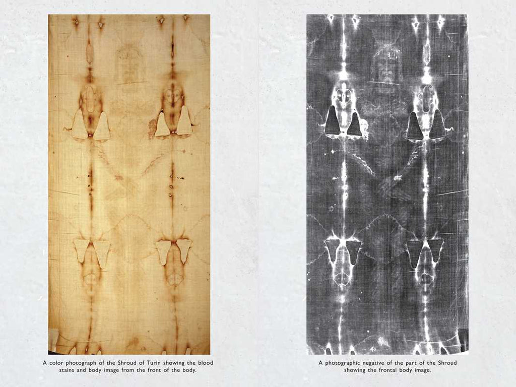 Burst of Conscious Light by Dr. Andrew Silverman