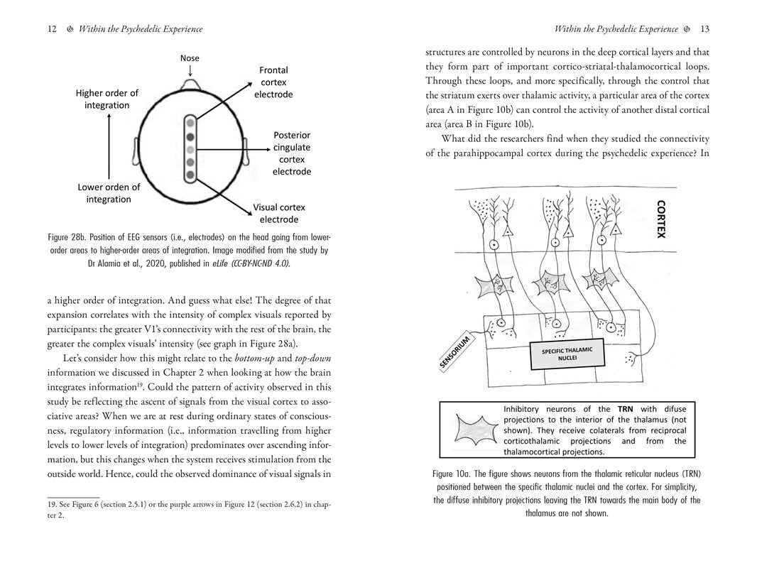 Psychedelics and Mental Health by Irene de Caso
