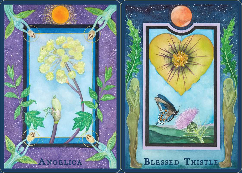 Plant Spirits Oracle by Laura Aversano