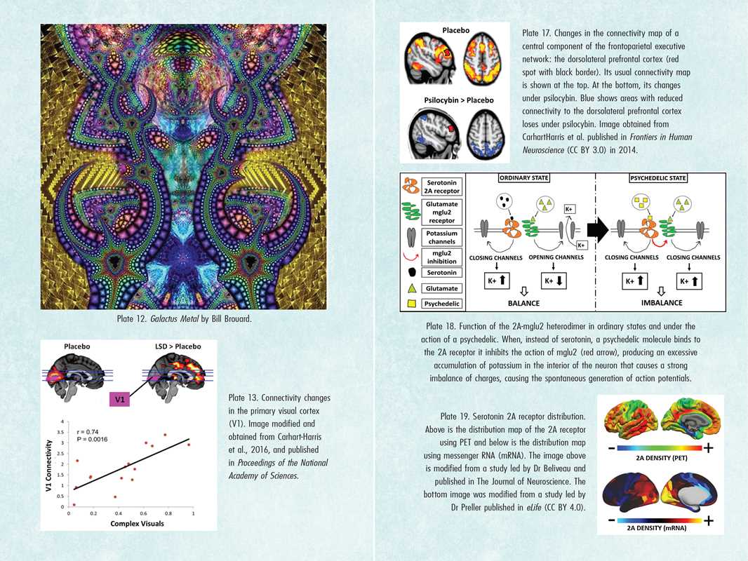 Psychedelics and Mental Health by Irene de Caso