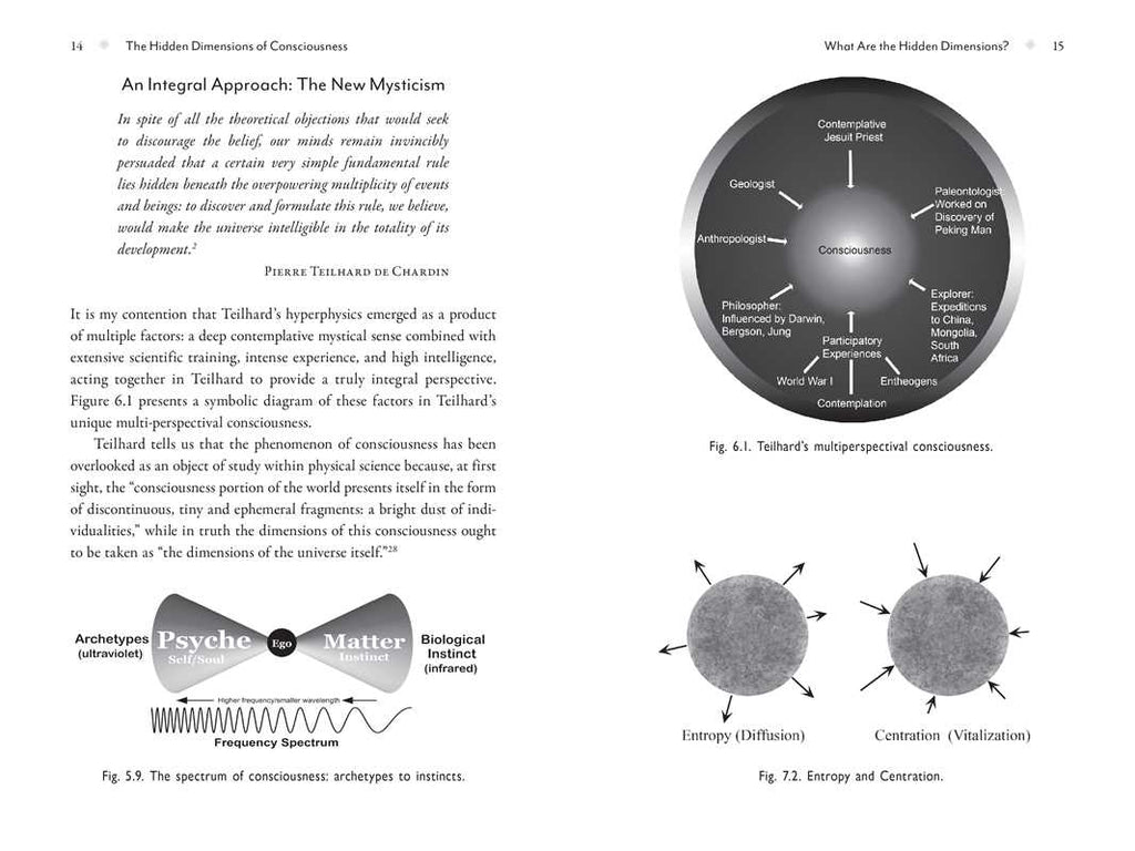 Metaverse of Consciousness by Shelli Renée Joye