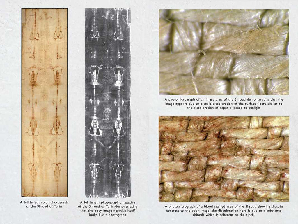 Burst of Conscious Light by Dr. Andrew Silverman