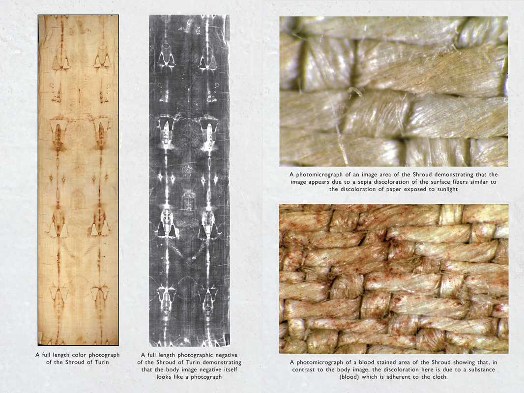 Burst of Conscious Light by Dr. Andrew Silverman