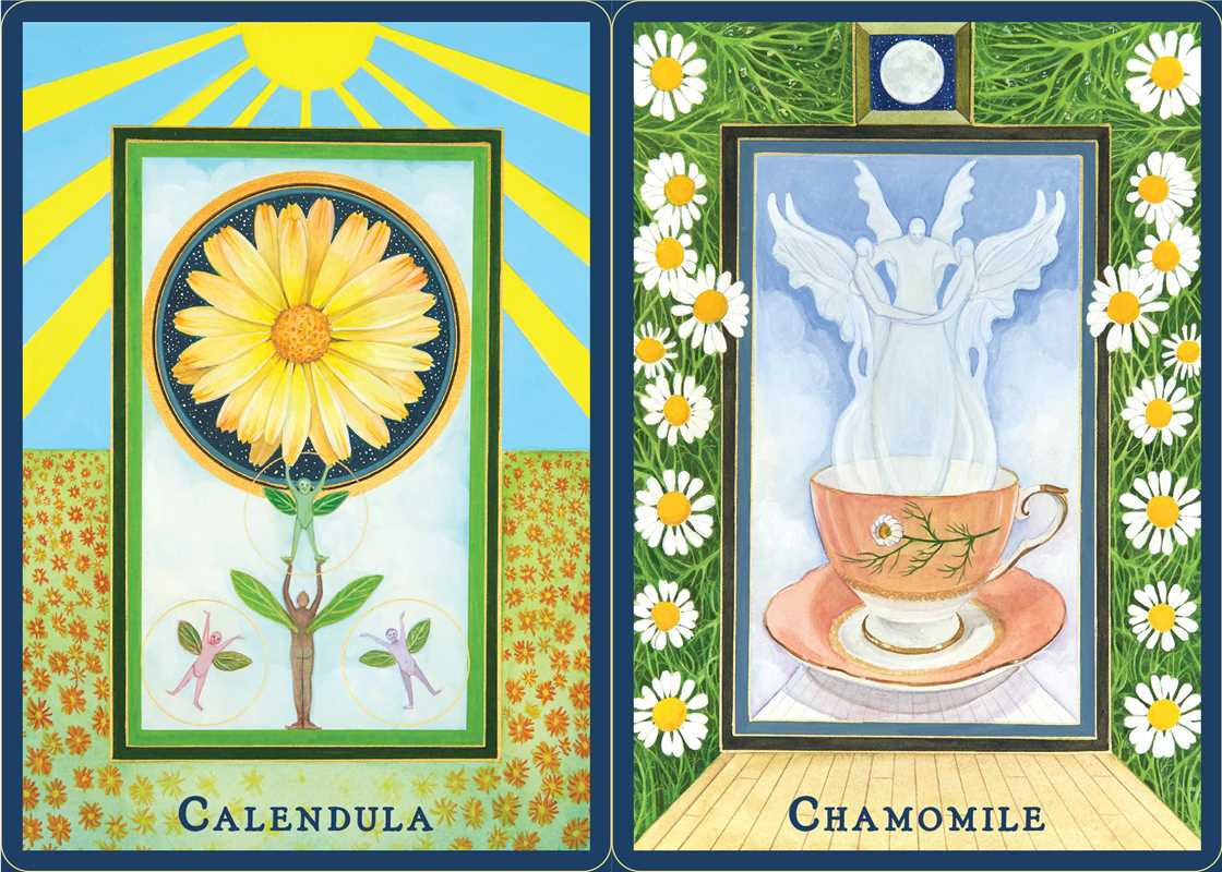 Plant Spirits Oracle by Laura Aversano