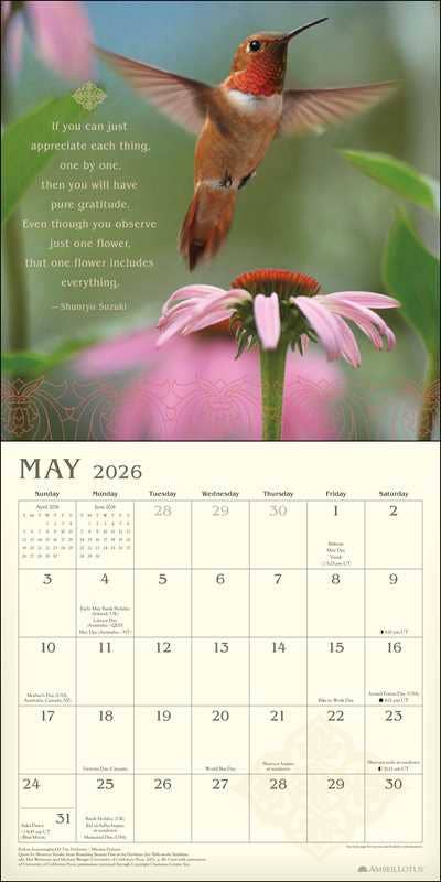 Meditation 2026 Wall Calendar by Amber Lotus Publishing