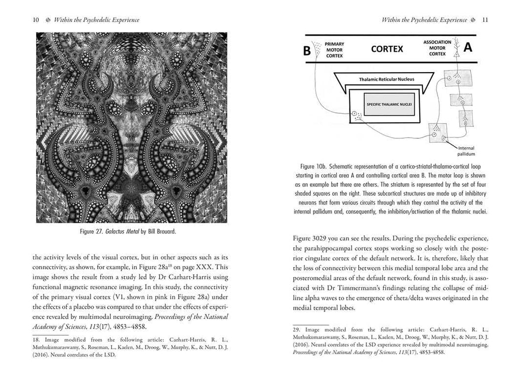 Psychedelics and Mental Health by Irene de Caso