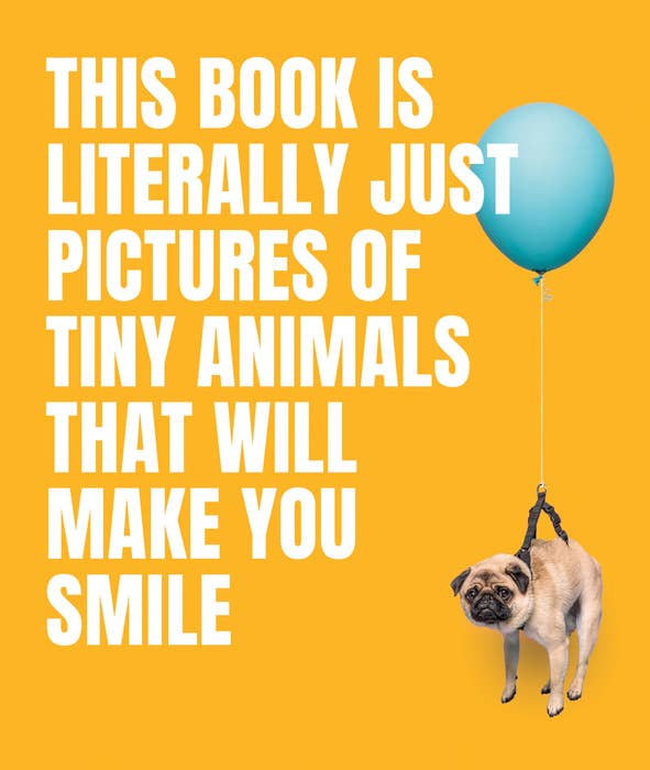 Pictures Tiny Animals Smile