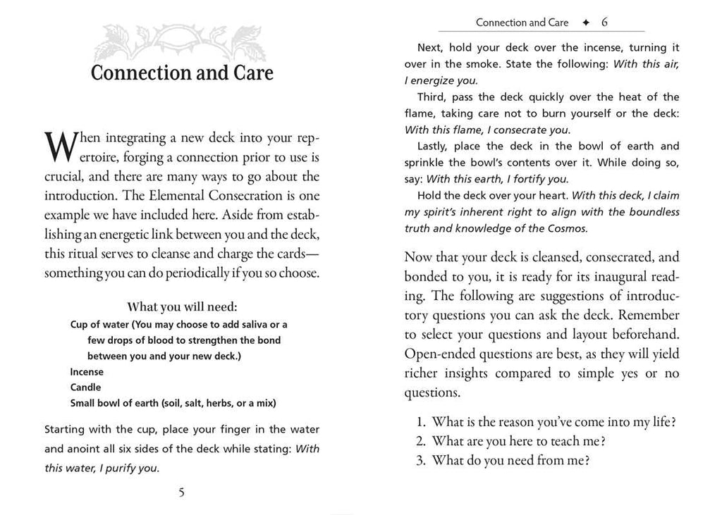 Runes and Roots Oracle by Nicolette Miele