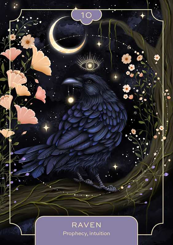 Animal Spirit Oracle by Lea  Androic