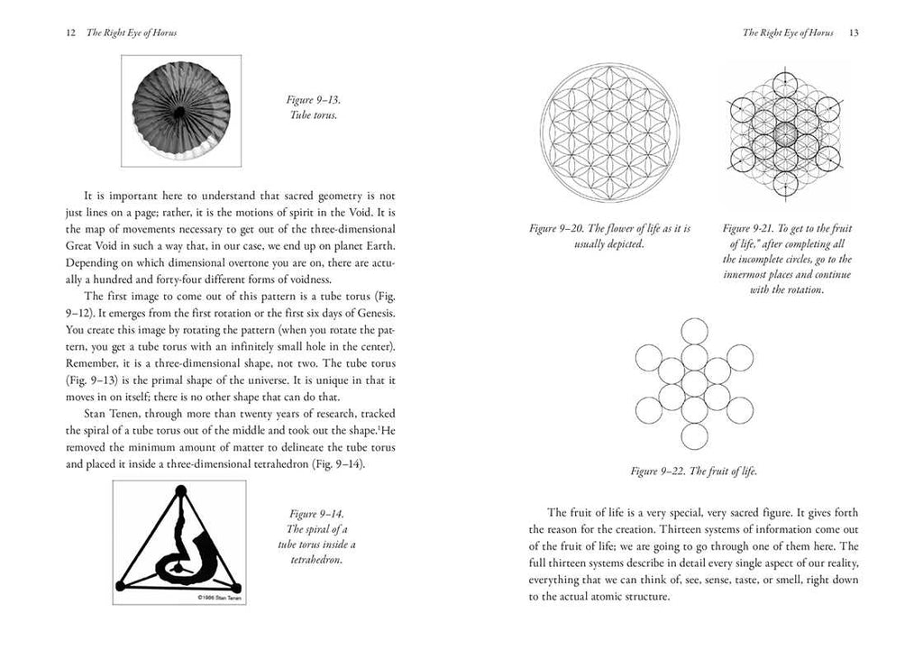 Nothing in This Book Is True, But It's Exactly How Things Are by Bob Frissell