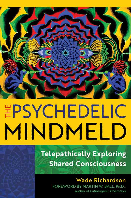 Psychedelic Mindmeld by Wade Richardson