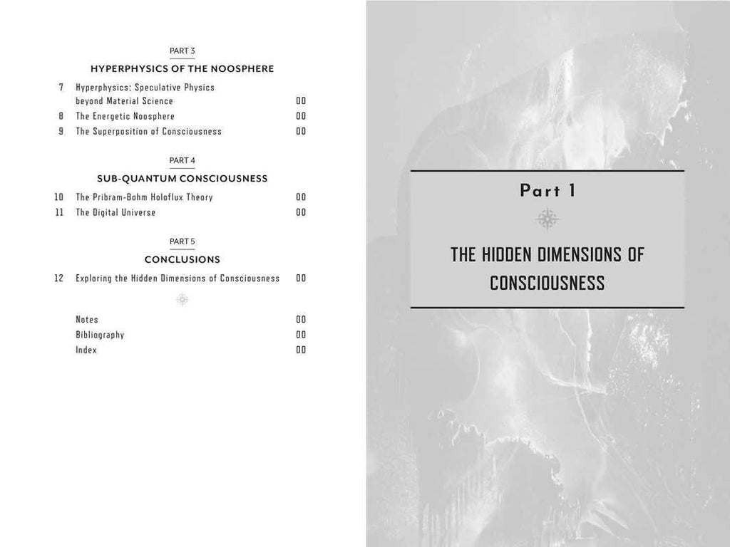 Metaverse of Consciousness by Shelli Renée Joye