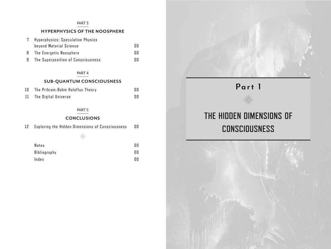 Metaverse of Consciousness by Shelli Renée Joye