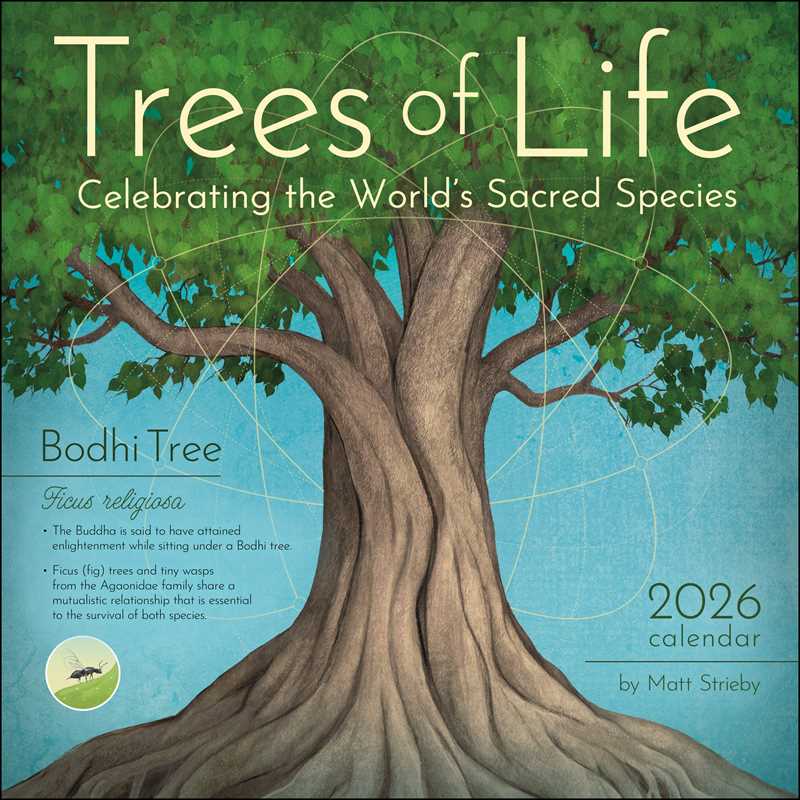 Trees of Life 2026 Wall Calendar by Matt  Strieby