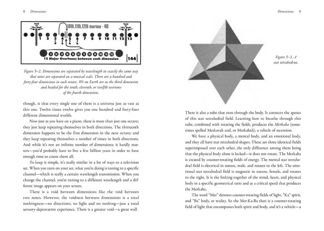 Nothing in This Book Is True, But It's Exactly How Things Are by Bob Frissell