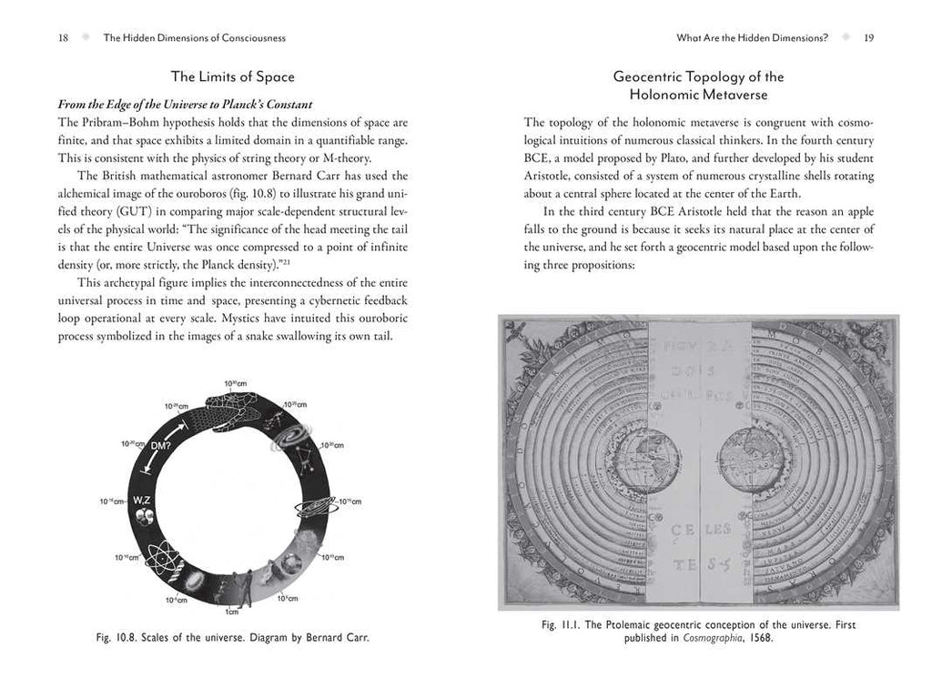 Metaverse of Consciousness by Shelli Renée Joye