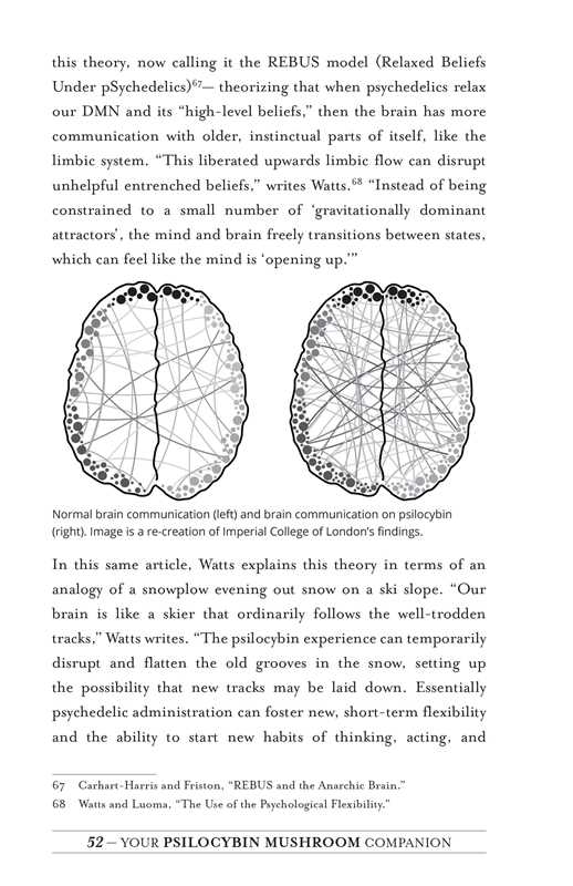 Your Psilocybin Mushroom Companion by Michelle Janikian