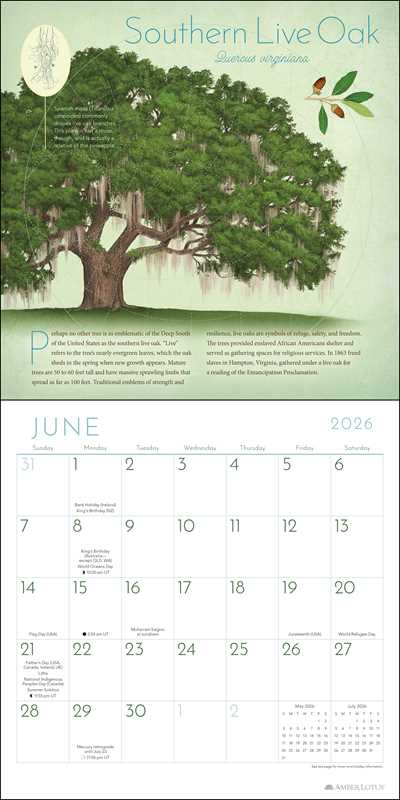 Trees of Life 2026 Wall Calendar by Matt  Strieby
