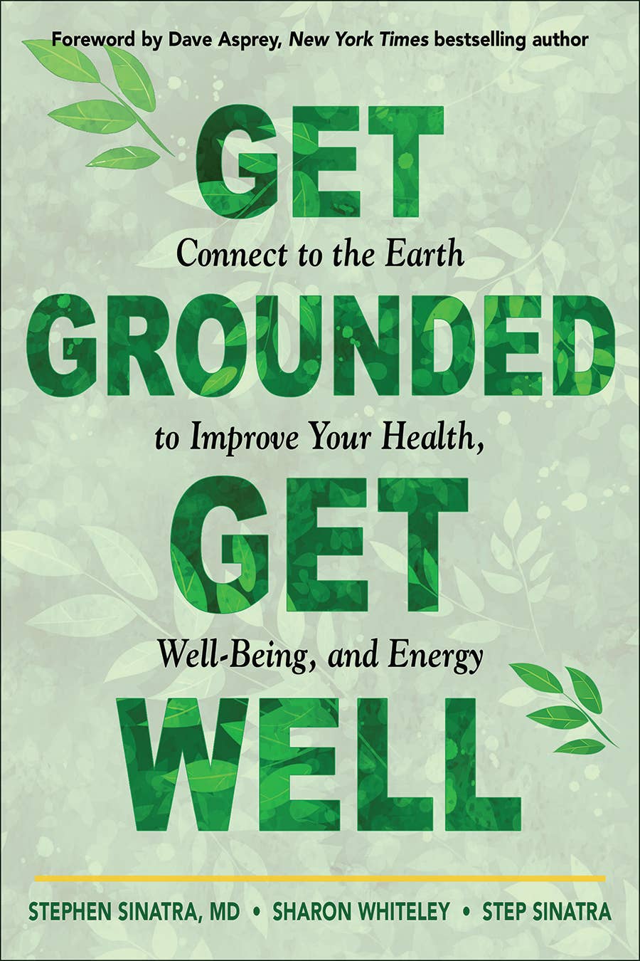 Get Grounded, Get Well - Adult Book