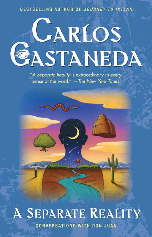 Separate Reality by Carlos   Castaneda