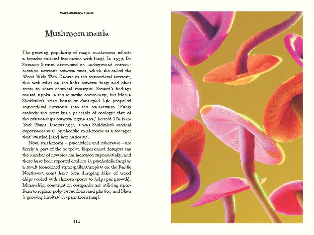 Psychedelics by Mattha Busby