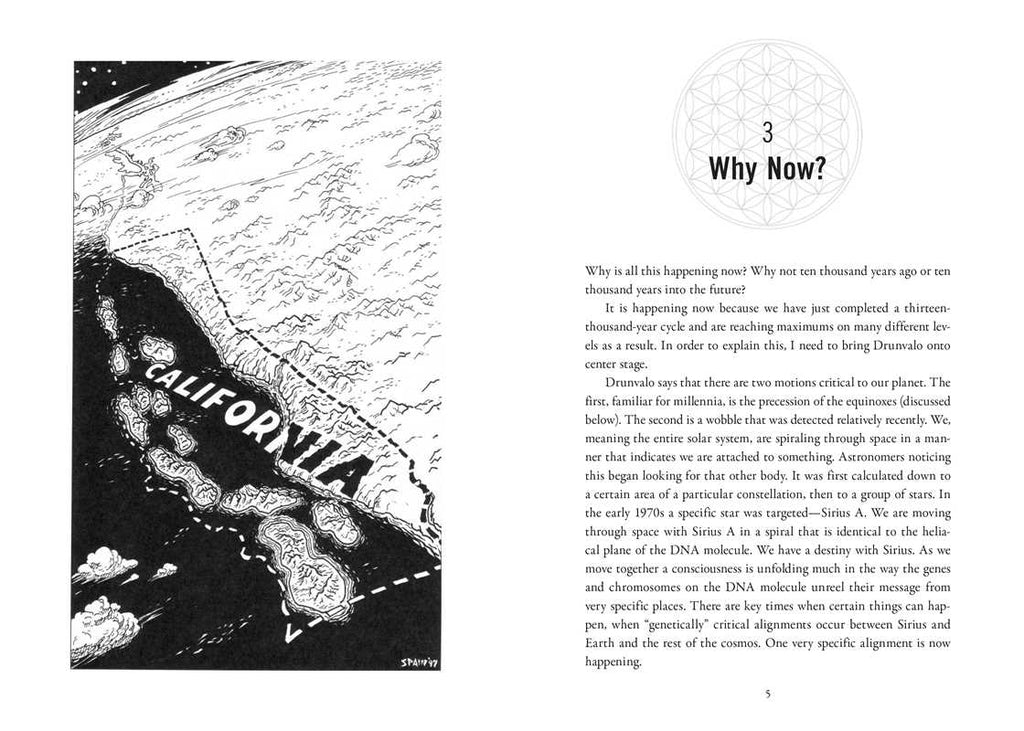 Nothing in This Book Is True, But It's Exactly How Things Are by Bob Frissell