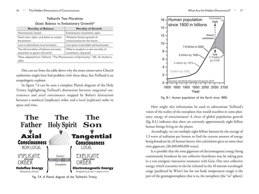 Metaverse of Consciousness by Shelli Renée Joye