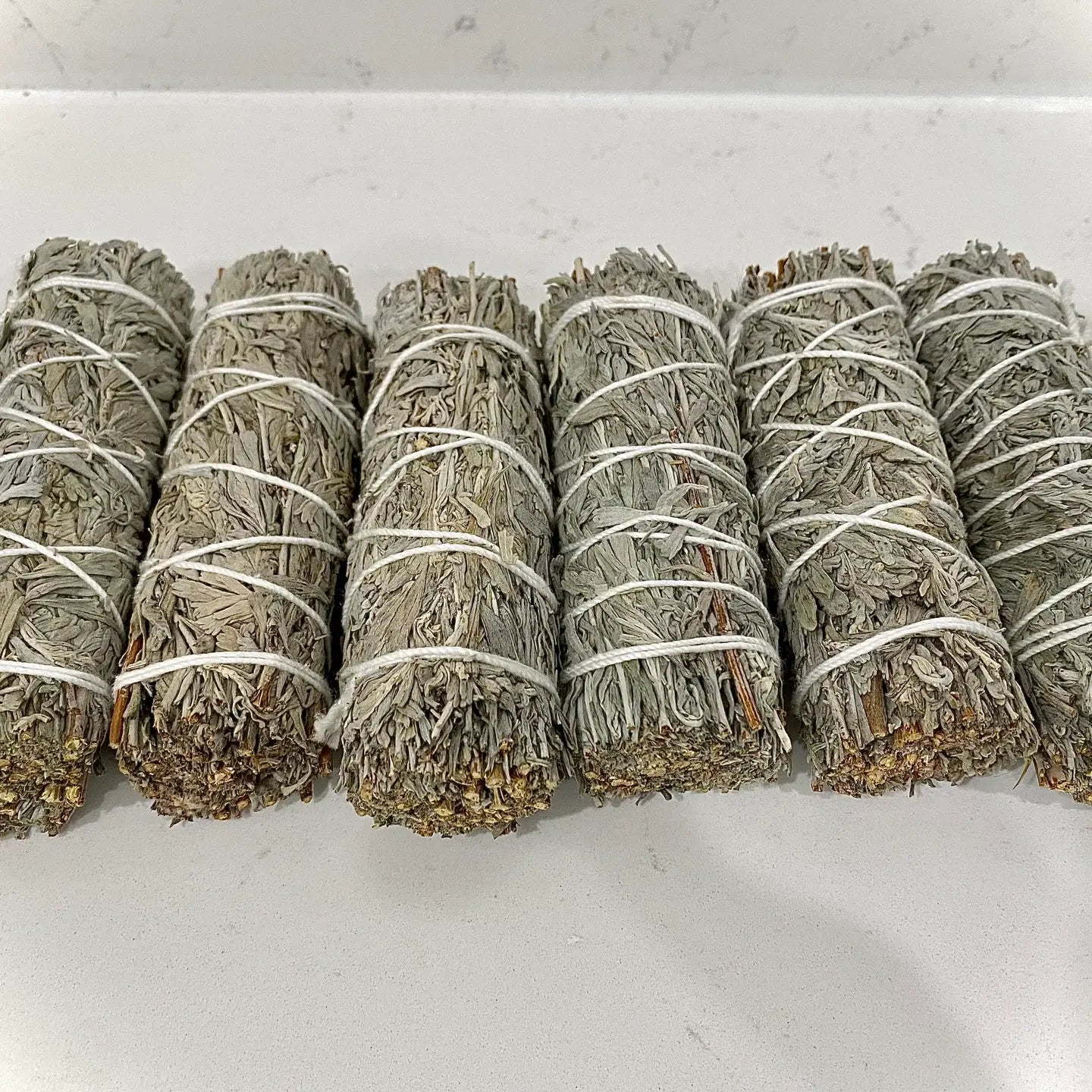 Blue Sage Bundle 4 inch- farm grown in California