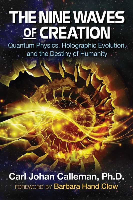 Nine Waves of Creation by Carl Johan Calleman