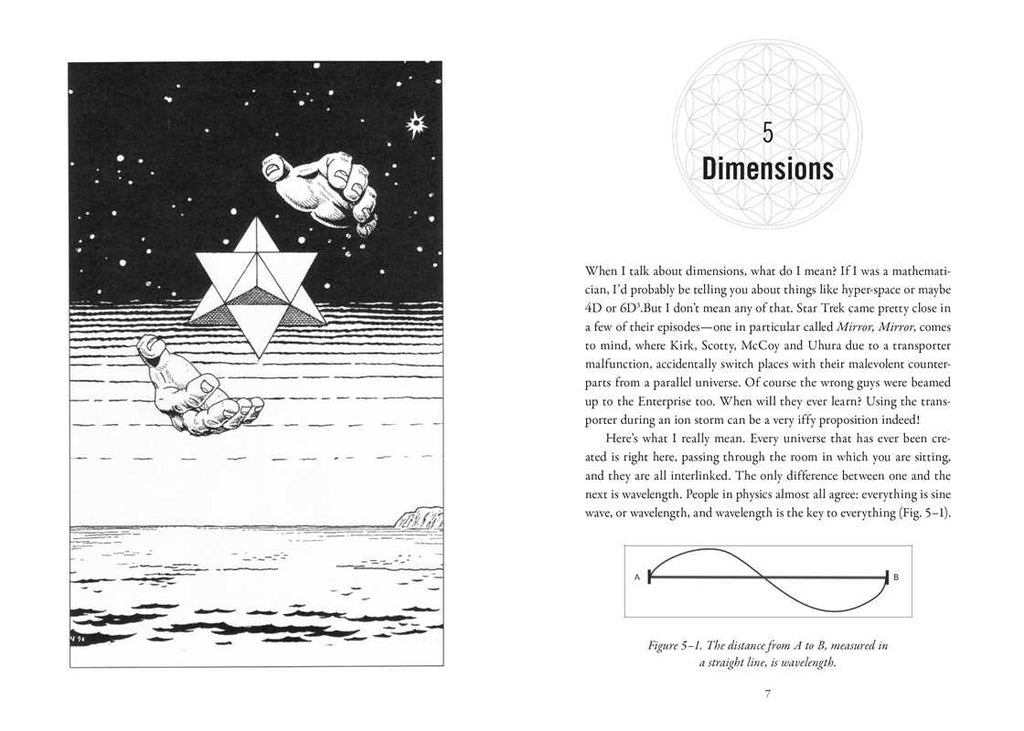 Nothing in This Book Is True, But It's Exactly How Things Are by Bob Frissell