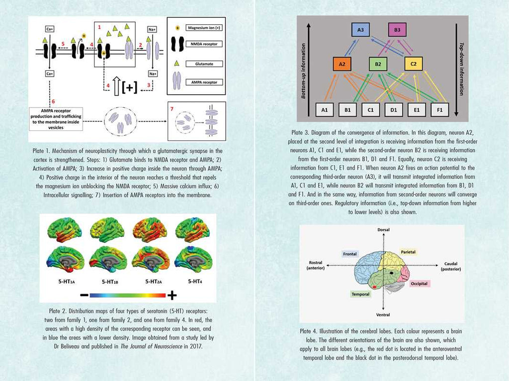 Psychedelics and Mental Health by Irene de Caso