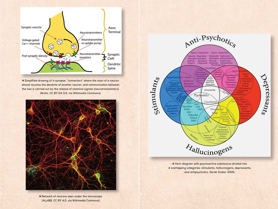 Psychedelic Reawakening by Anton Gomez-Escolar