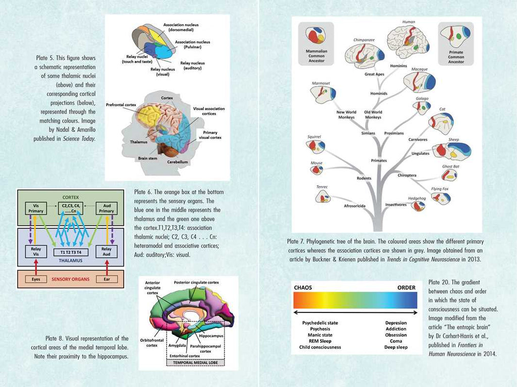 Psychedelics and Mental Health by Irene de Caso