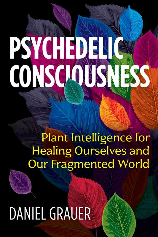 Psychedelic Consciousness by Daniel Grauer