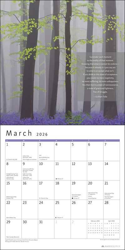 Power of Now 2026 Wall Calendar by Eckhart  Tolle