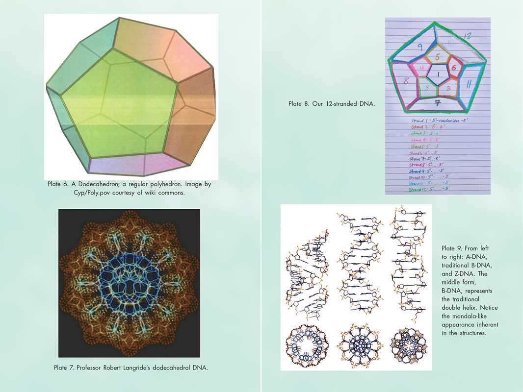 Activating Our 12-Stranded DNA by Ruslana Remennikova