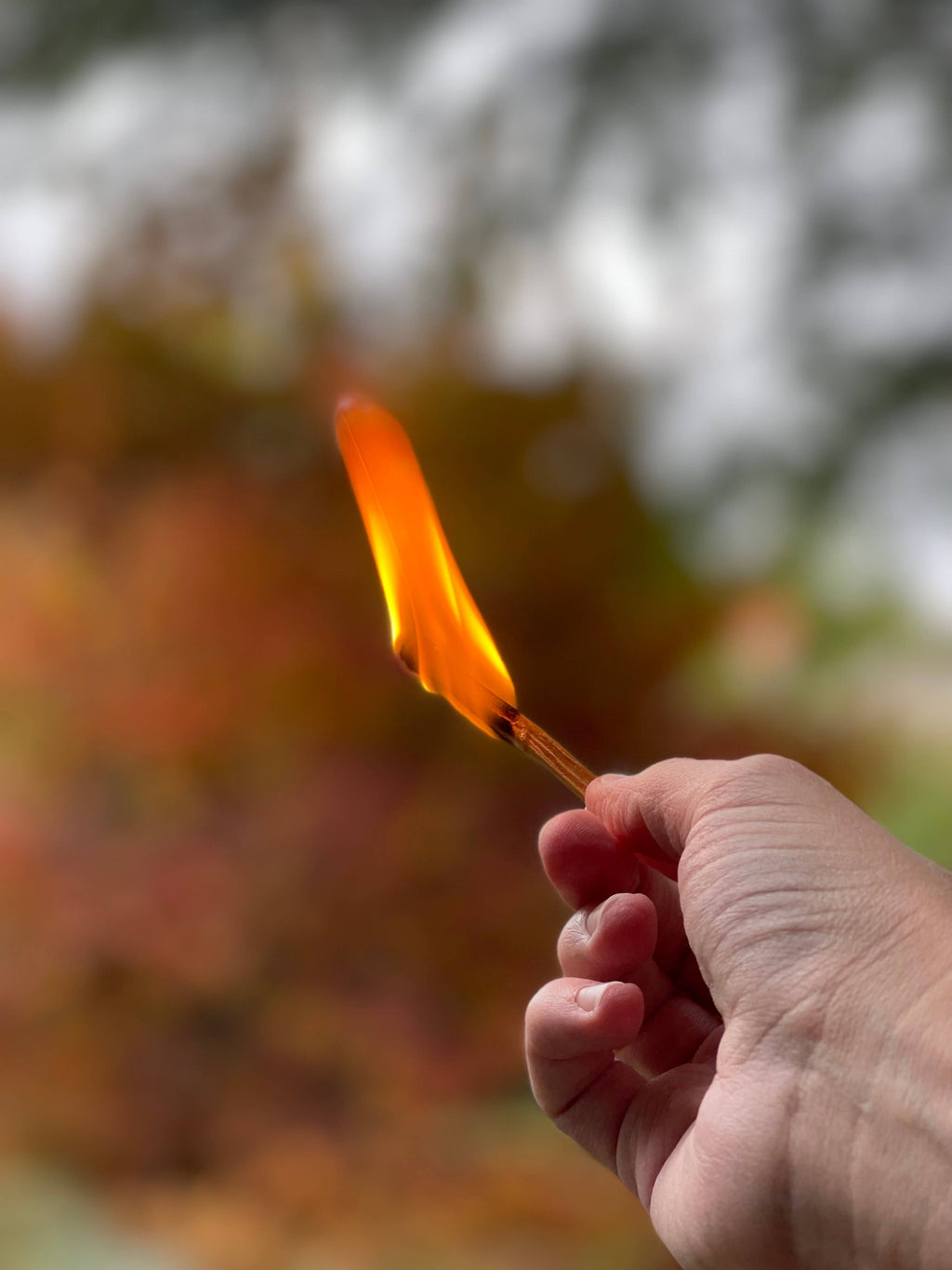 Hand holding a lit palo santo matchstick with a blurred natural background