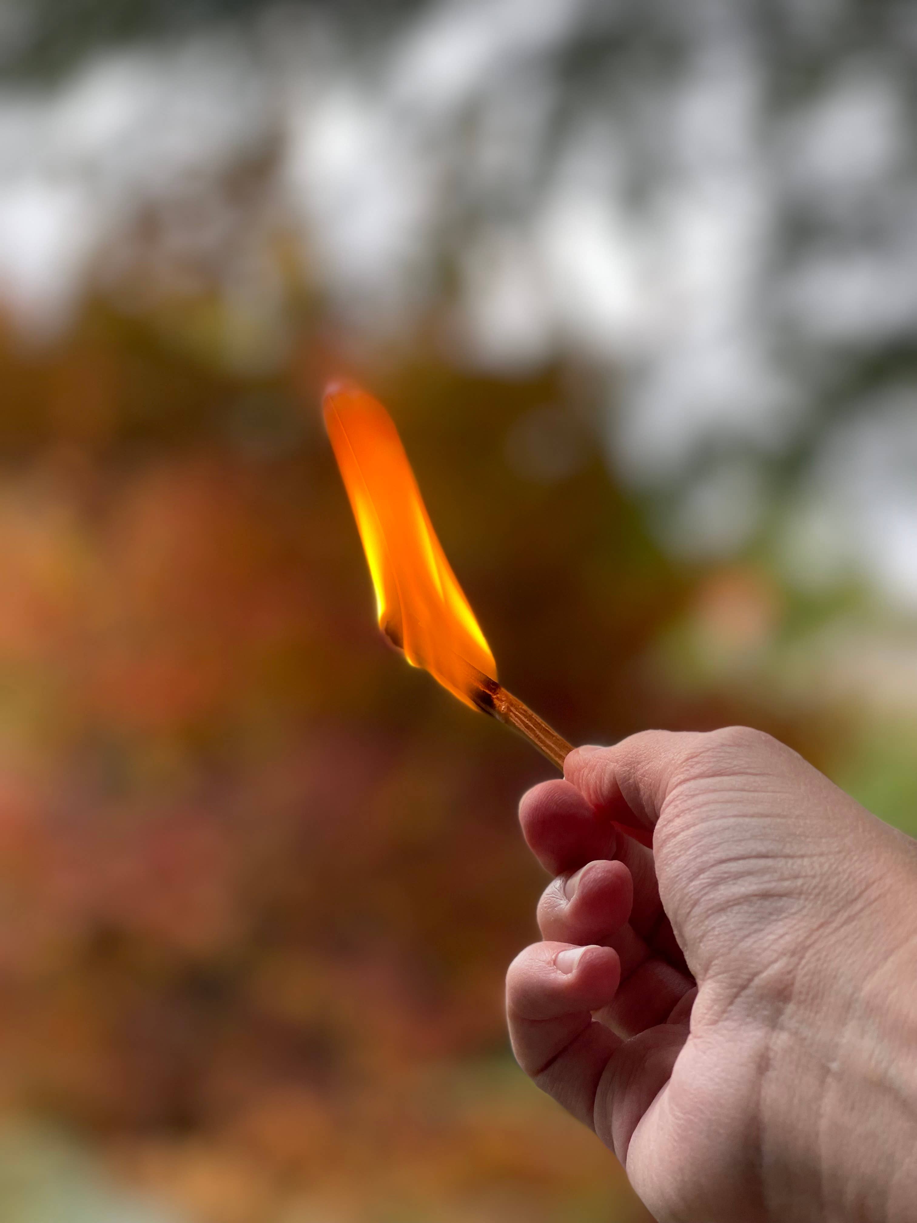 Hand holding a lit palo santo matchstick with a blurred natural background