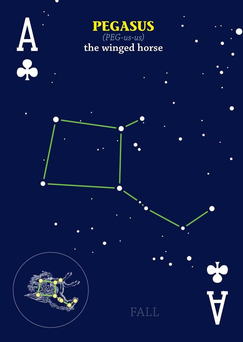 Star constellation of Pegasus on a dark blue background with card symbols.