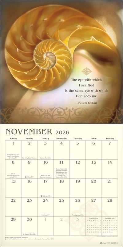 Calendar page for November 2026 featuring a nautilus shell design.